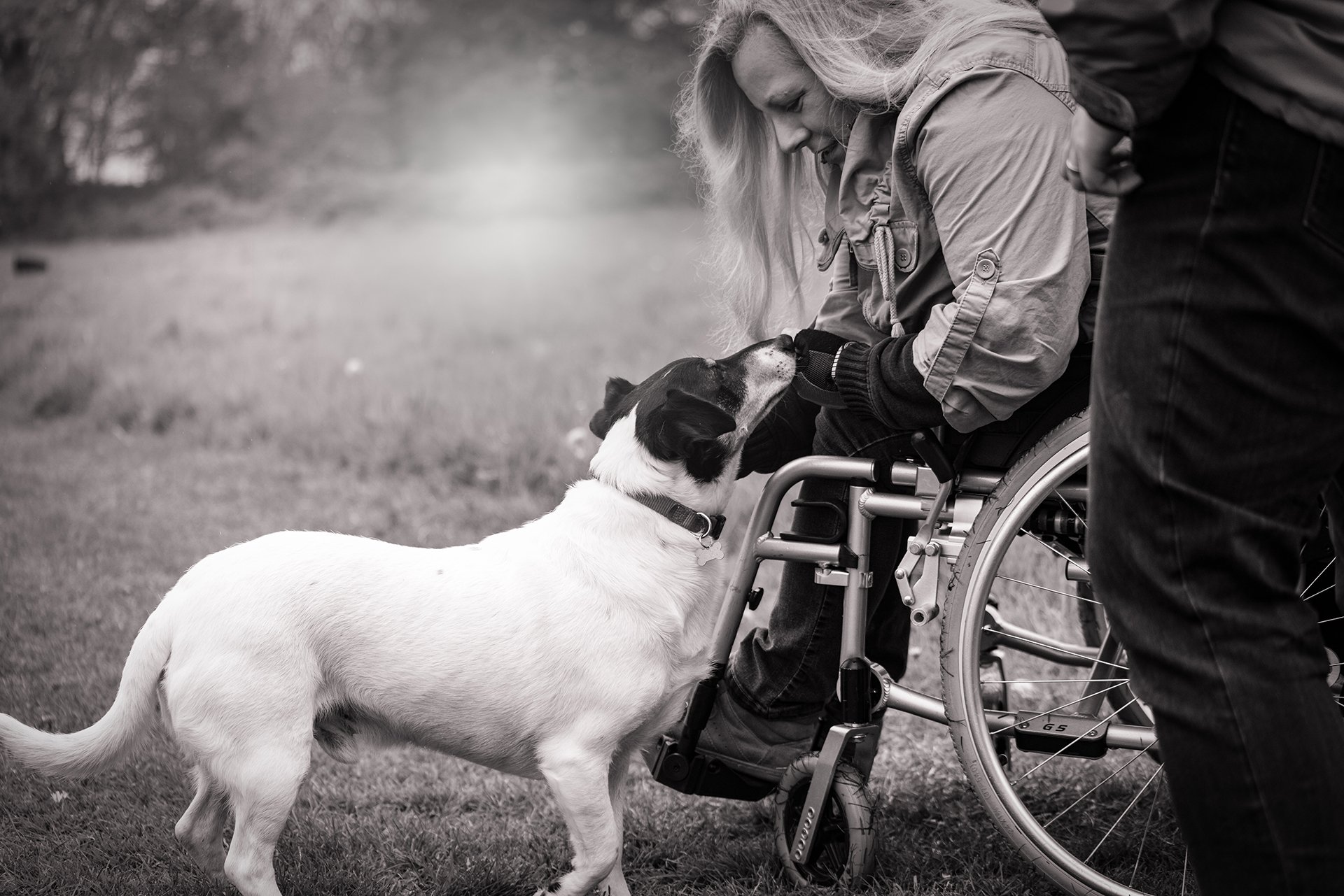 diferencias-paraplejia-tetraplejia-cuadriplejia diferencias entre paraplejia, tetraplejia y cuadriplejia